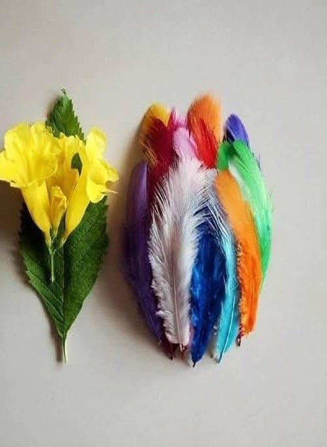 The brown box- Natural Dyed Feathers for DIY with Colourful Beads, Crafts Project, Dream Catcher Making Projects, Earrings | Pack of 10 Colors |250 Pieces |25 Pieces Each Color |4-5 Inch Approx. - Image 2